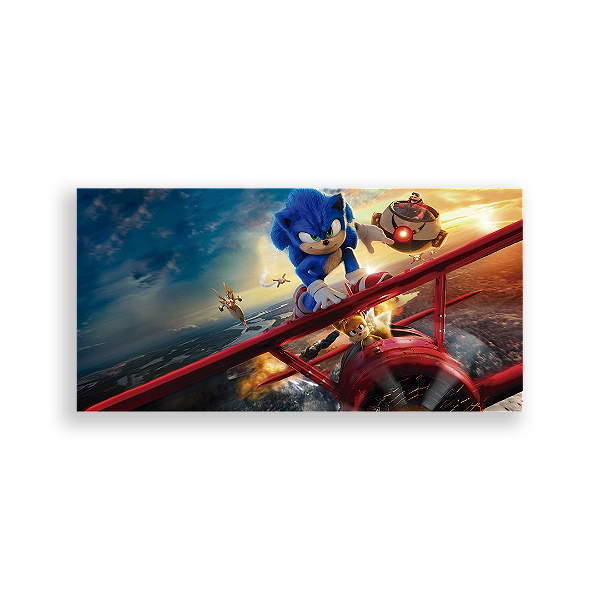 Capa Painel Retangular Sublimado - Sonic