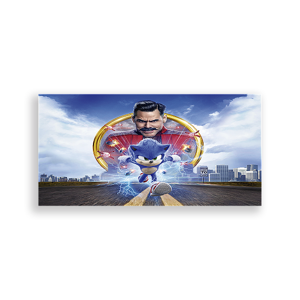 Capa Painel Retangular Sublimado - Sonic
