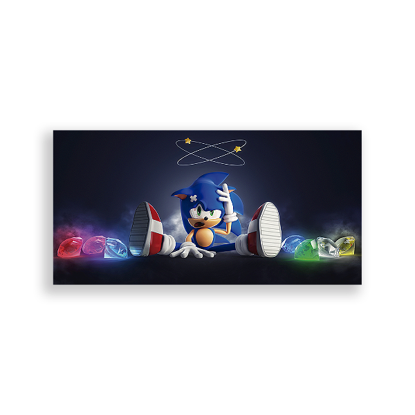 Capa Painel Retangular Sublimado - Sonic