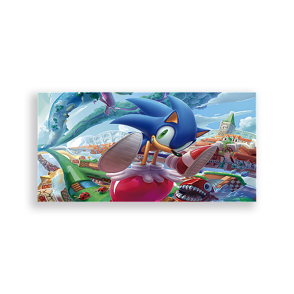 Capa Painel Retangular Sublimado - Sonic