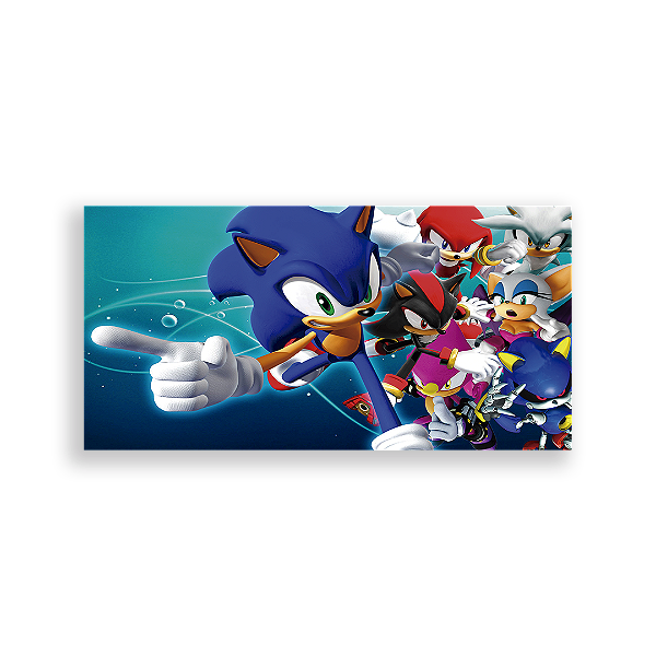 Capa Painel Retangular Sublimado - Sonic
