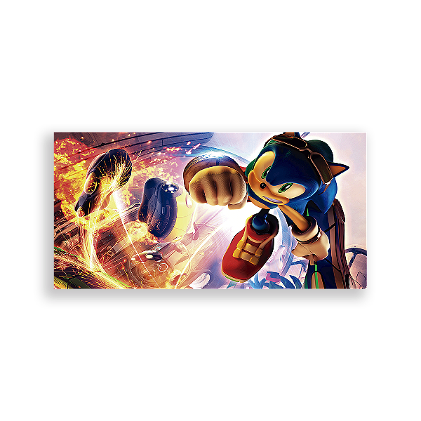 Capa Painel Retangular Sublimado - Sonic