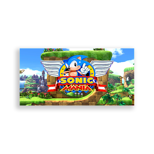 Capa Painel Retangular Sublimado - Sonic