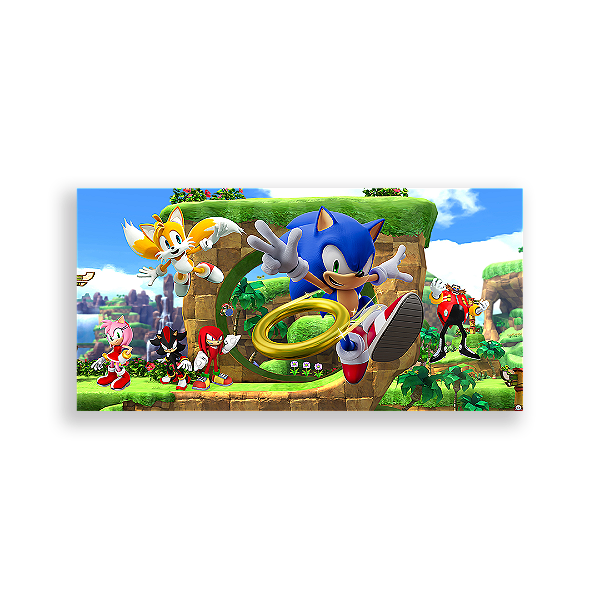 Capa Painel Retangular Sublimado - Sonic