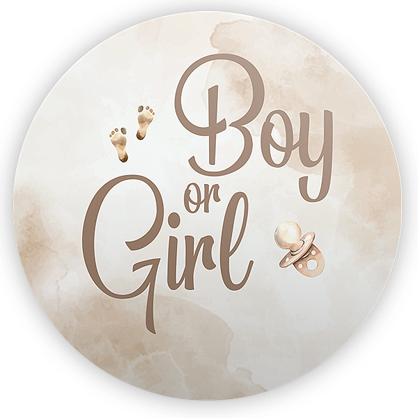 Capa Mini Painel Sublimado - Revelação Girl Boy