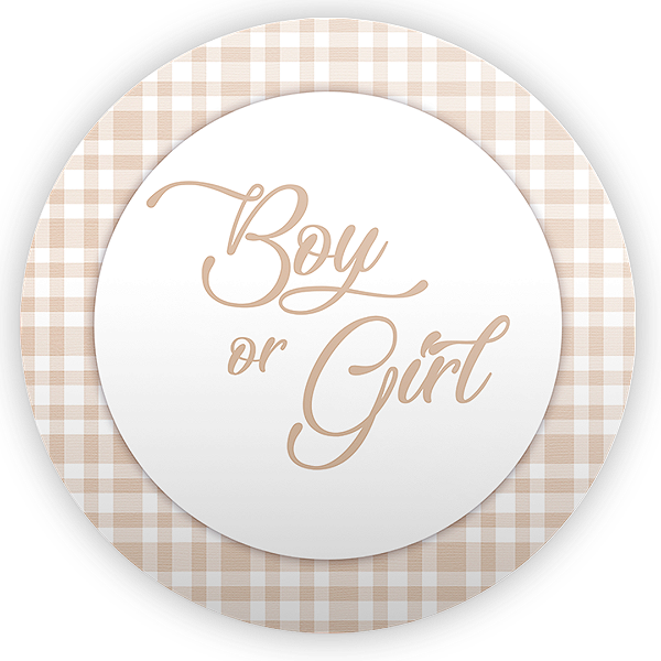 Capa Mini Painel Sublimado - Revelação Girl Boy