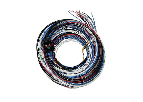 CHICOTE MAIN FT450 FT550 6M (5570) FUELTECH