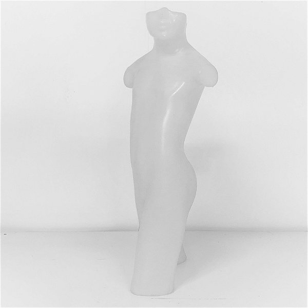 Manequim juvenil masculino seminovo meio corpo