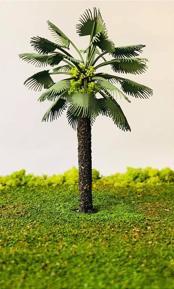 Palmeira Azul