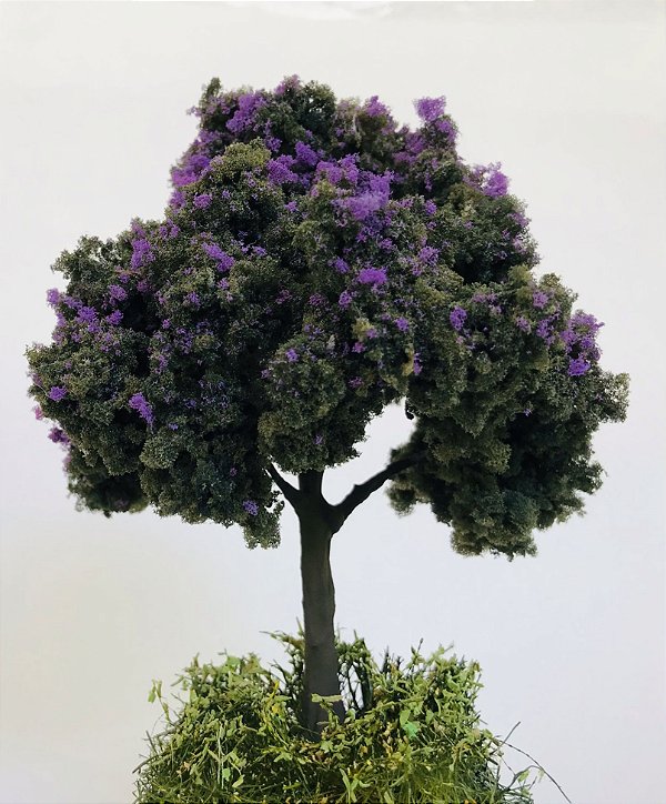 Árvore Flórida roxa 14 cm
