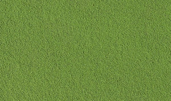 Grama- Verde Claro