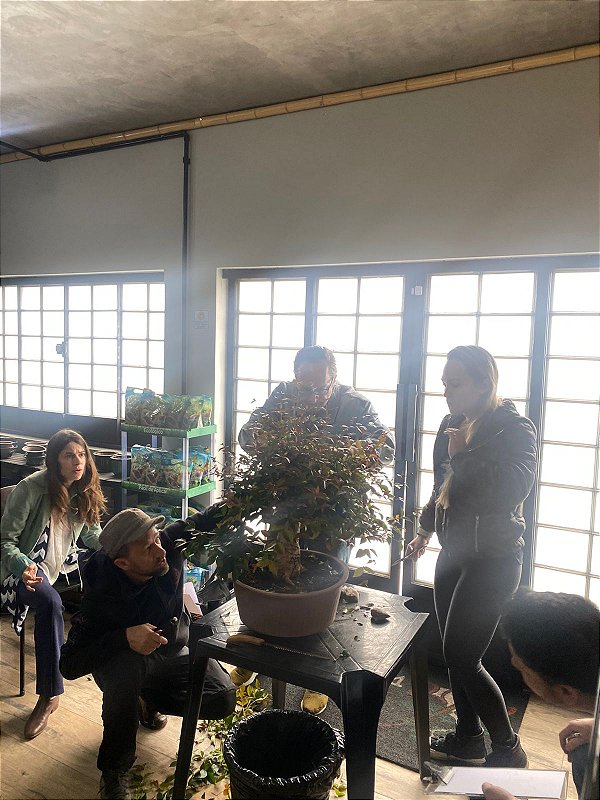 Curso Escola com o Professor Pechin (TURMA 2)