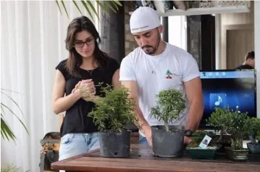 Curso de Bonsai Presencial  para Iniciantes 06 de Setembro de 2025 (sábado) em São Paulo (Cidade Líder)