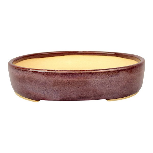 Vaso Para Bonsai Oval Esmaltado Pine 21 X 17 X 4,5 cm