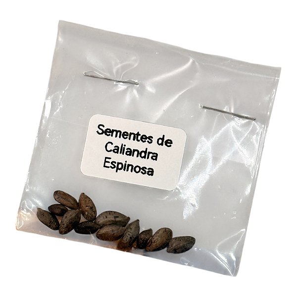 Sementes de Calliandra Espinosa 12 Unidades