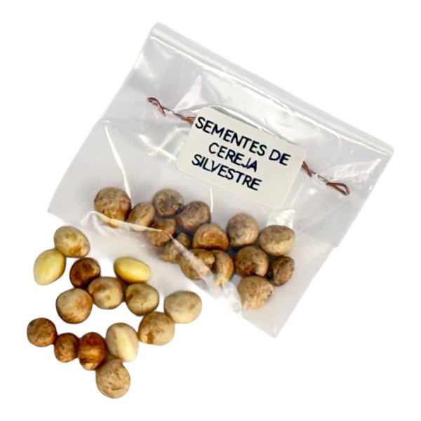 Sementes de Cereja Silvestre (cereja anã) Japonesa 14 Unidades