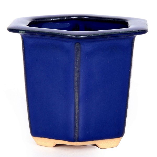 Vaso Mame Kengai Para Bonsai Sextavado Mizuno 7,5 x 7,5 x 4 CM