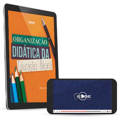 Organização Didática da Educação Básica (Versão digital)