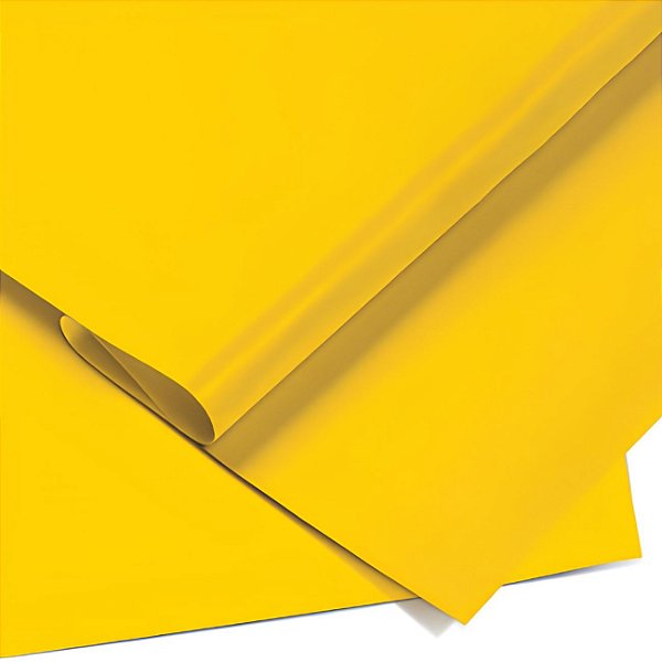 Papel Color Set 66x48cm Amarelo Canário - Ridet