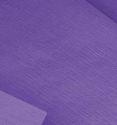Papel Crepom 48cmx2m Roxo - Ridet