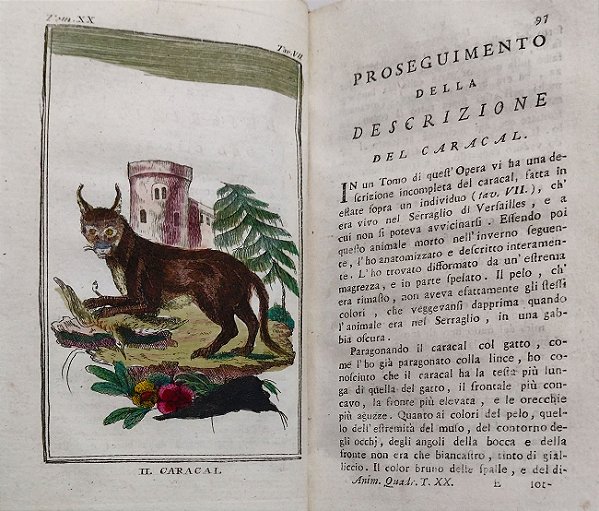 Conde de Buffon, Dos Quadrúpedes - Livro Raro, 1789 - História Natural, Geral e Particular
