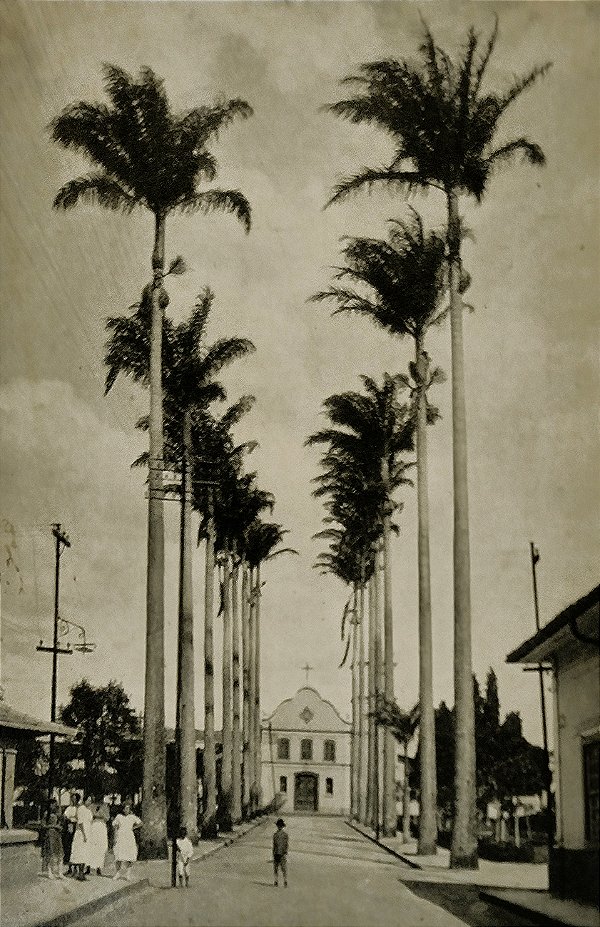 Itu - São Paulo - Avenida das Palmeiras (Carmo) - Cartão Postal Antigo Original