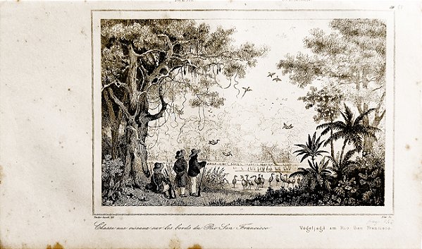 Brasil Império - Bahia – Vander Burch - Gravura de 1837, Caça a pássaros as margens do Rio São Francisco - 240423