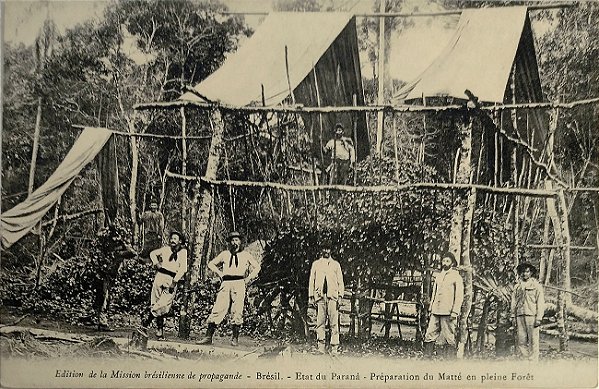 Paraná - Preparação do Mate - Cartão Postal Antigo Original, Não Circulado