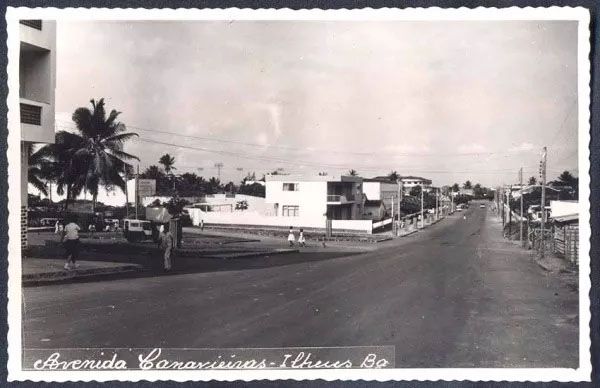 Bahia - Ilheus - Avenida Canavieiras, Cartão Postal Antigo, Fotografia Original