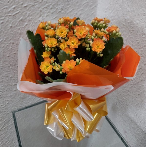 Mini Kalanchoê Laranja