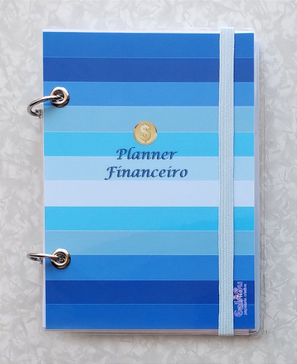 Planner financeiro A6 (mini)