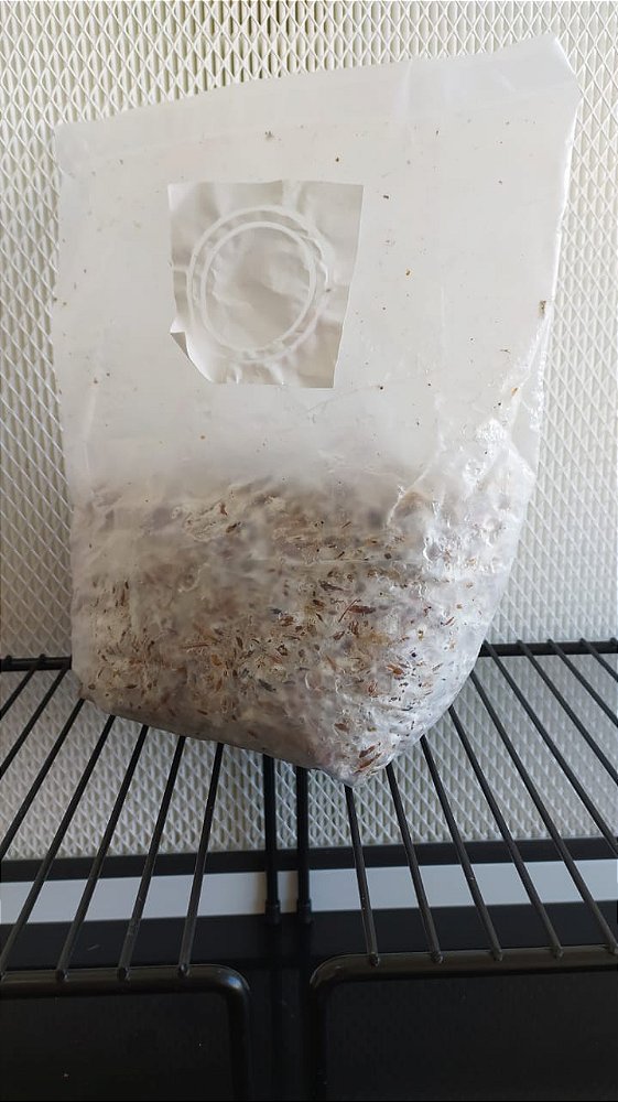 Saco Plástico para Cultivo de Cogumelos. 21x29 cm (6 unidades) Portal