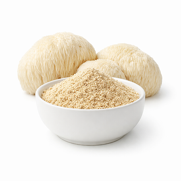 Juba de Leão Em Pó. 1 Kg.