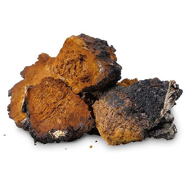 Cogumelo Chaga Desidratado. 1 Kg.