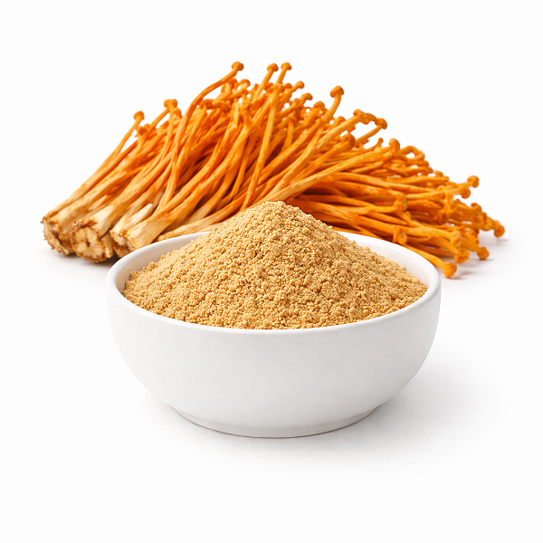 Cogumelo Cordyceps em Pó. 500g