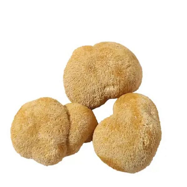 Juba de Leão Desidratado Atacado. 10 Kg.