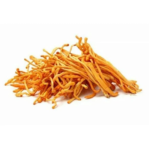 Cogumelo Cordyceps Desidratado Atacado.