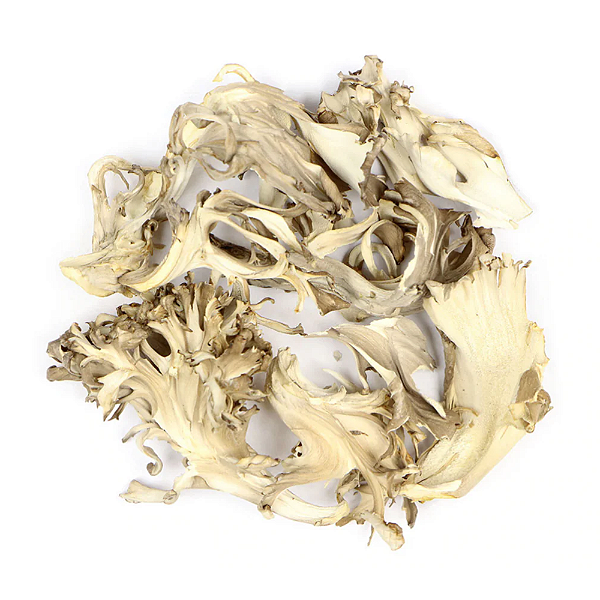 Cogumelo Maitake Desidratado. 500g.