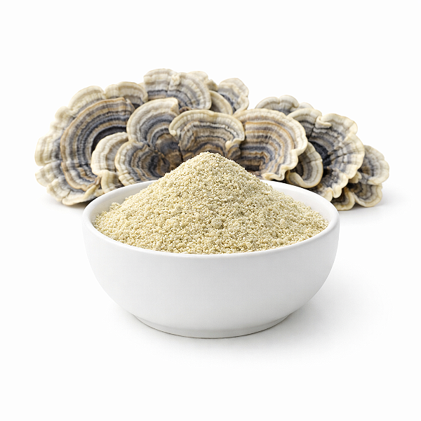 Cogumelo Cauda de Peru em Pó. 500g.