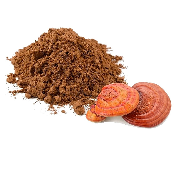 Cogumelo Reishi em Pó. 1 Kg.