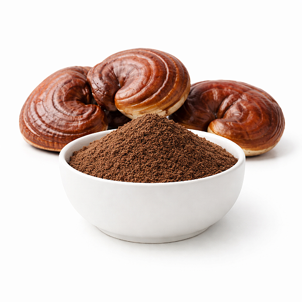 Cogumelo Reishi em Pó. 500g.