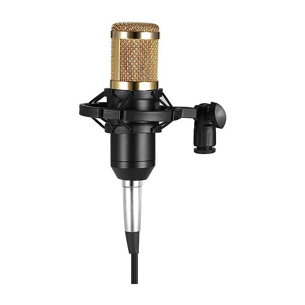Microfone Condensador Leboss P2 BM800 Preto