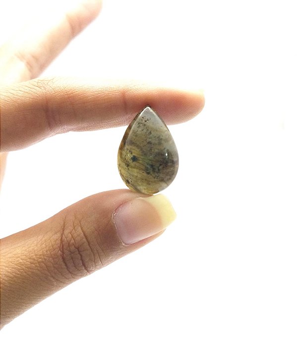 Labradorita Cabochão Gota