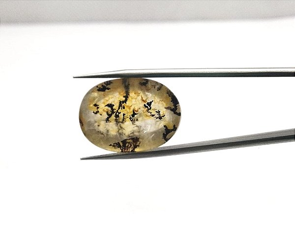 Quartzo Diverso Dendrita Oval
