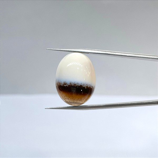 Opala Cabochão Oval Bicolor 16x21 mm