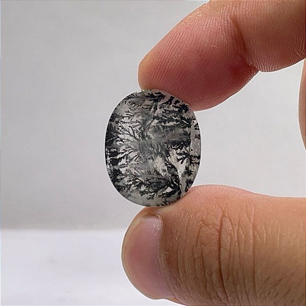 Quartzo Diverso Dendrita Cabochão Oval