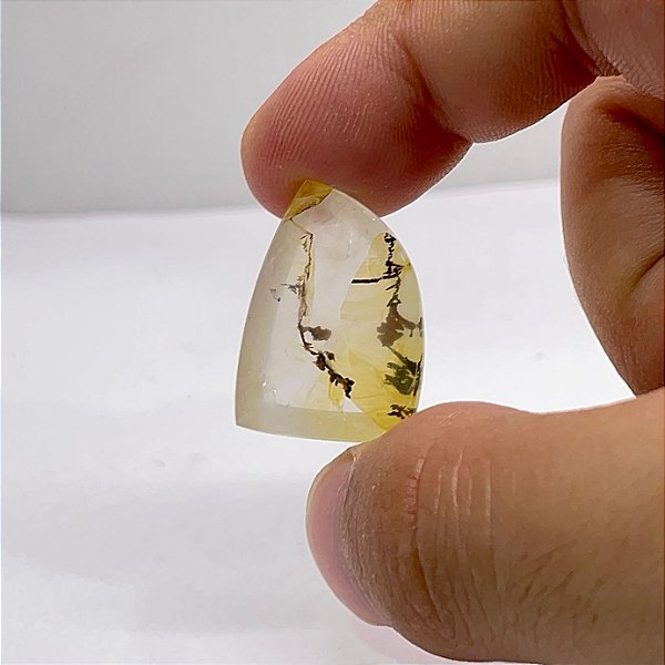 Quartzo Diverso Dendrita Cabochão Forma Livre
