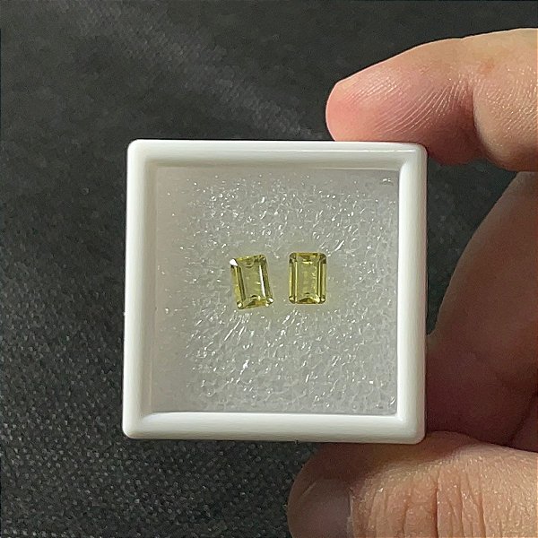 Berilo Facetado Retangular Par 5x7mm