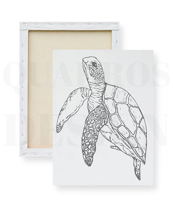Tela para Pintura Infantil - Tartaruga Realista