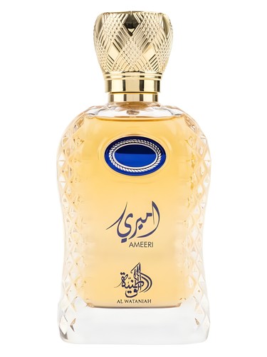 AL WATANIAH	AMEERI MASCULINO EAU DE PARFUM 100ML
